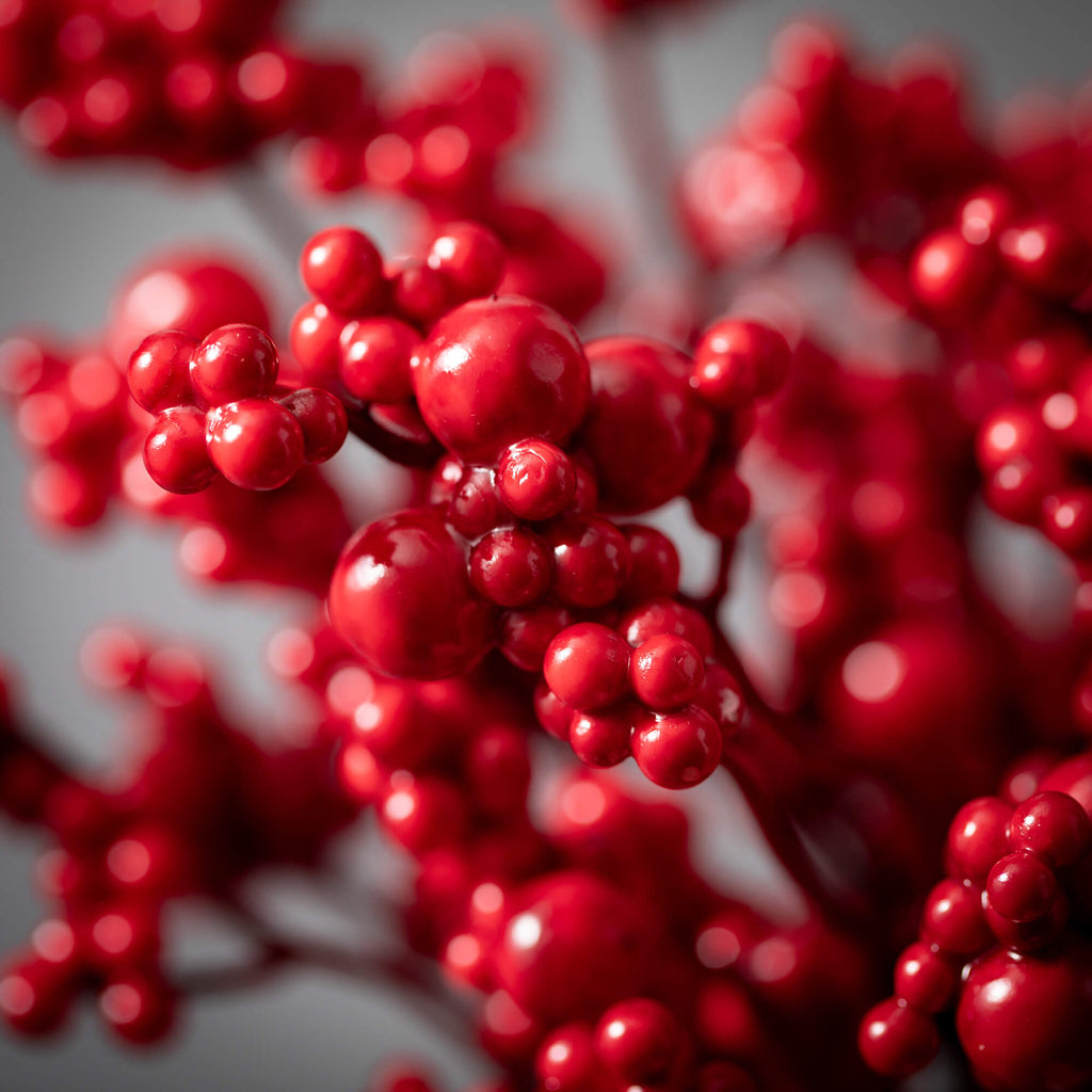 Red Cluster Berry Spray       
