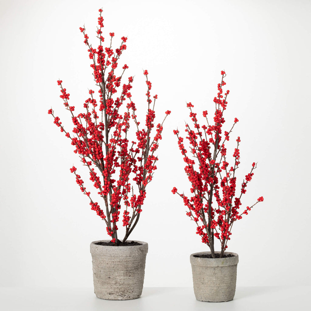 Potted Red Berry Tree Set 2   