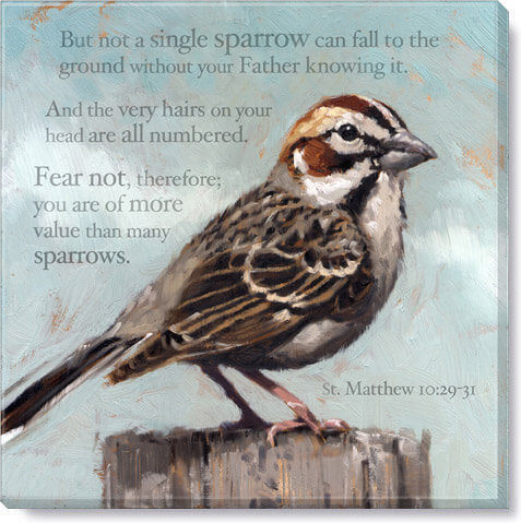 Inspirational Sparrow Giclee  