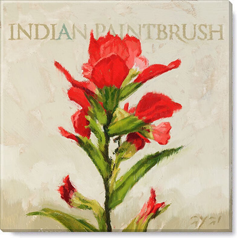 Indian Paintbrush Giclee Art  