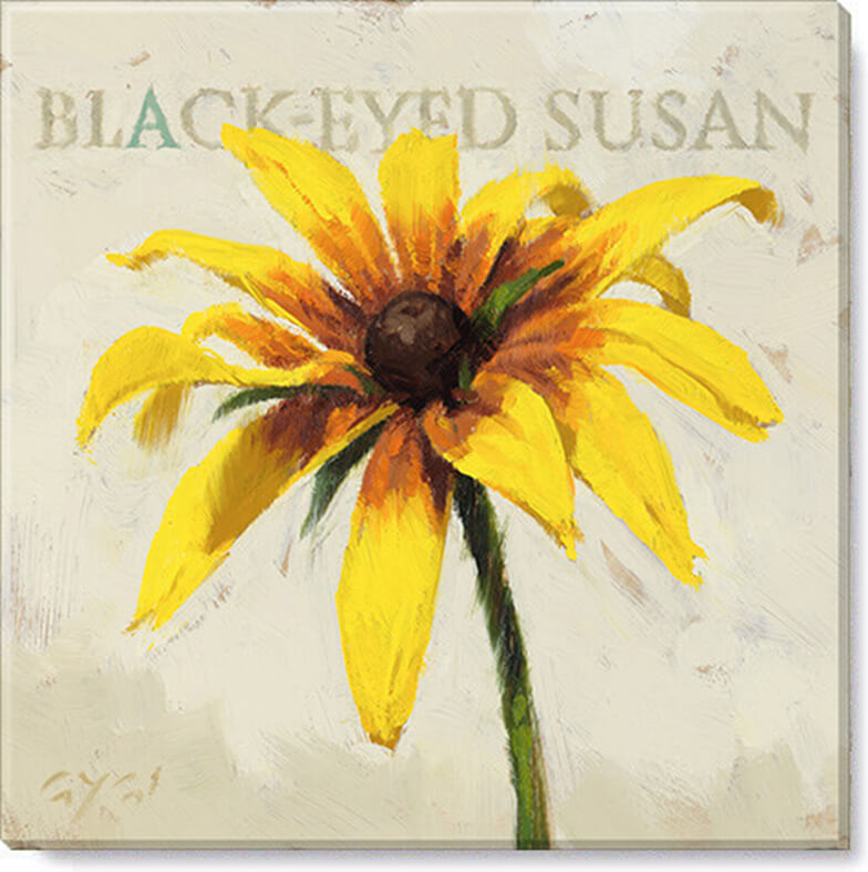 Black-Eyed Susan Giclee Art   