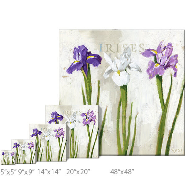 Iris Trio Giclee Wall Art     