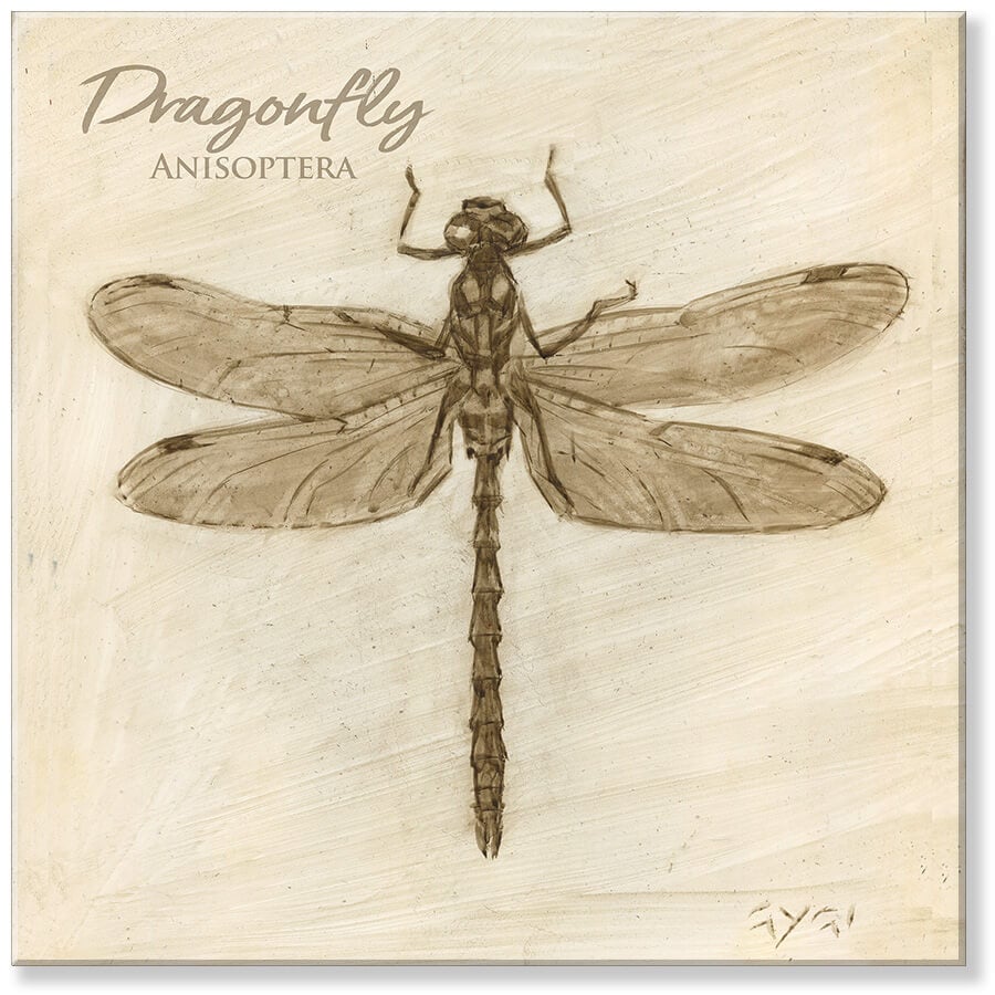 Sepia Dragonfly Canvas Art    