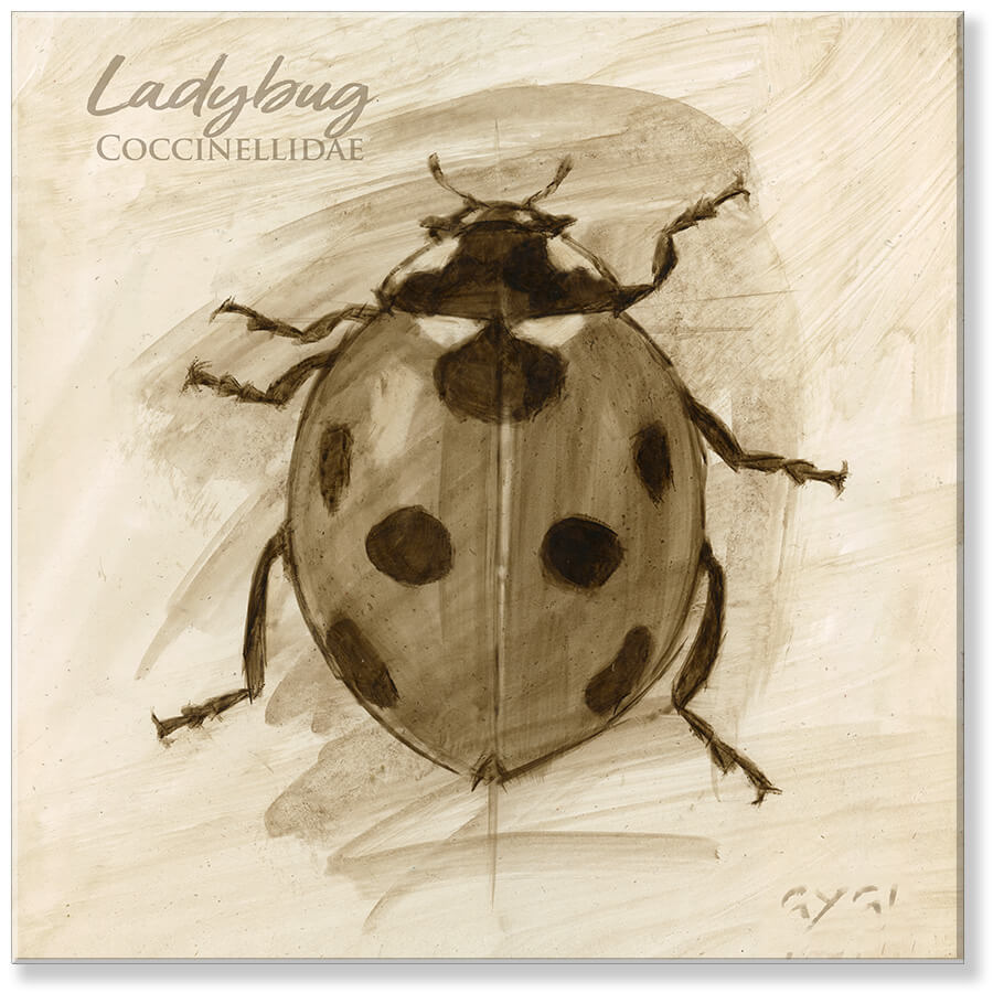 Sepia Ladybug Canvas Art      