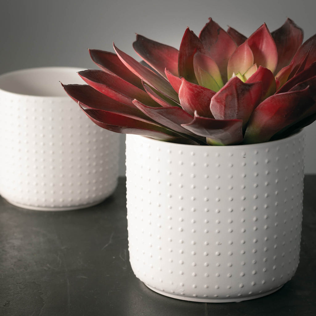 White Dotted Planter Set Of 2 