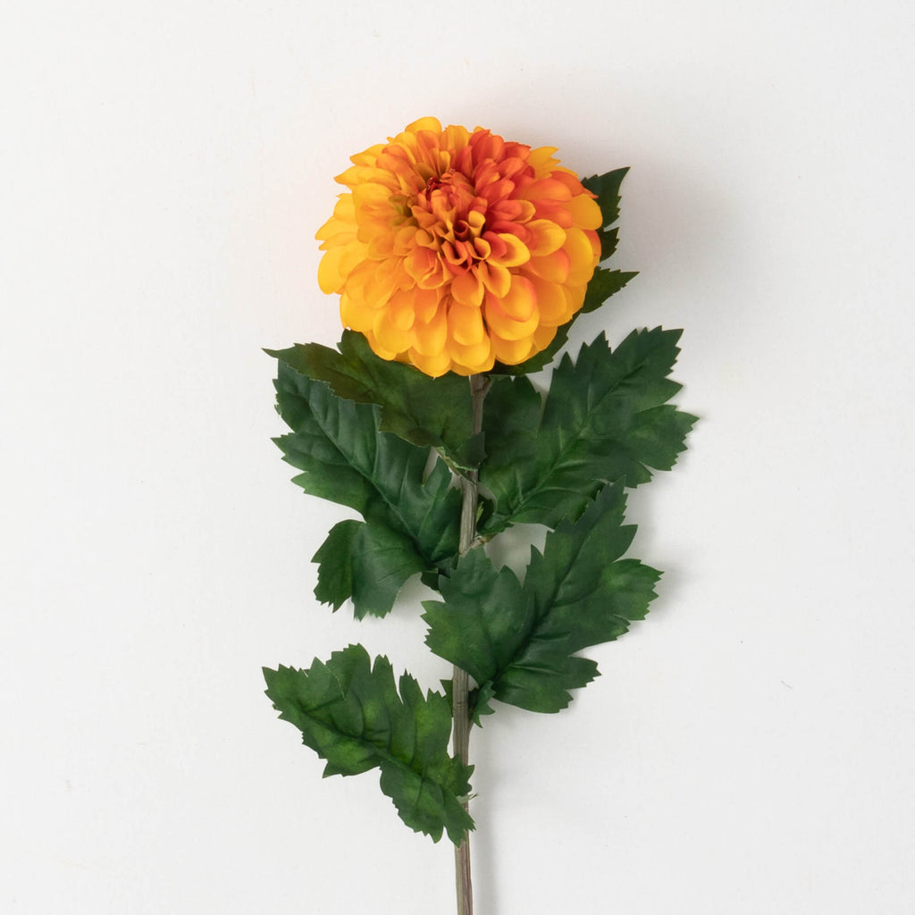 Orange Dahlia Flower Stem     