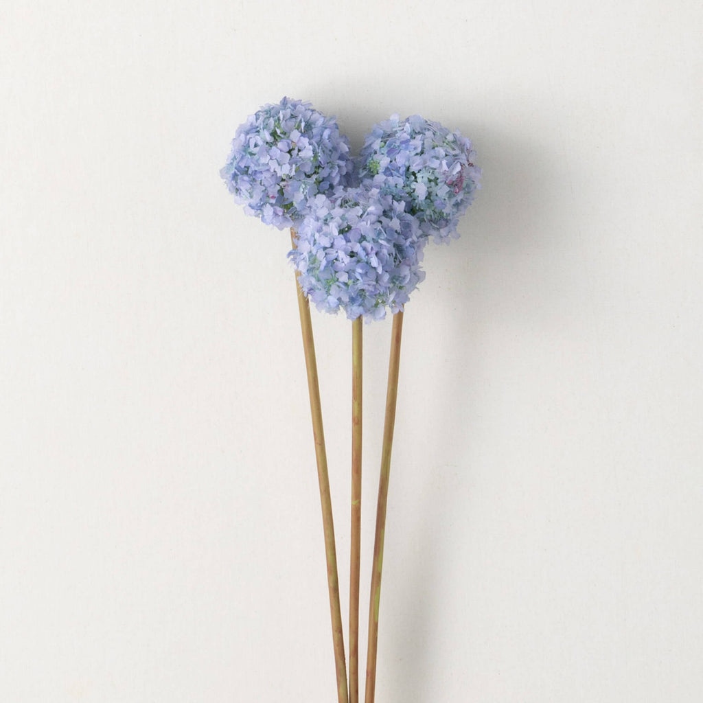 Blue Spring Allium Bunch      