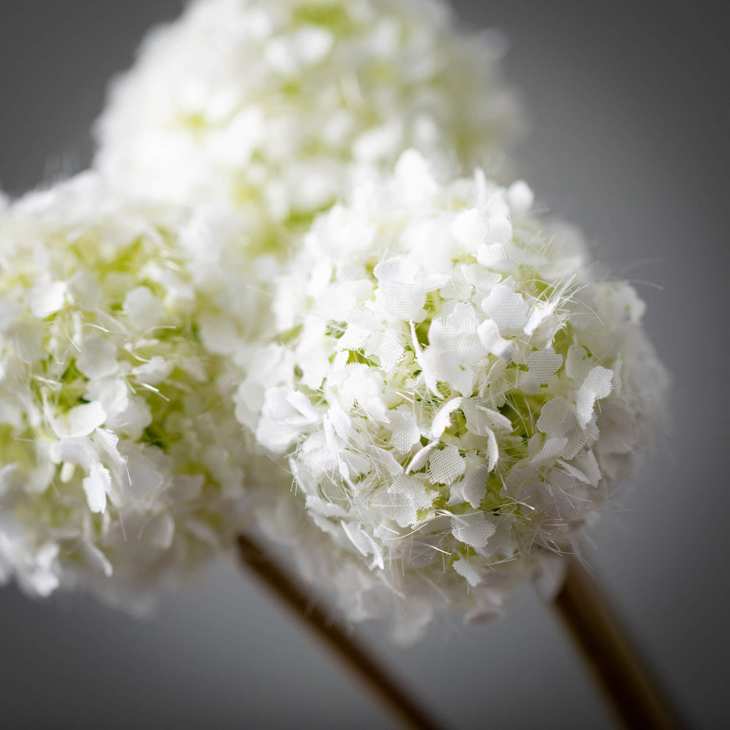 White Allium Spring Bunch     