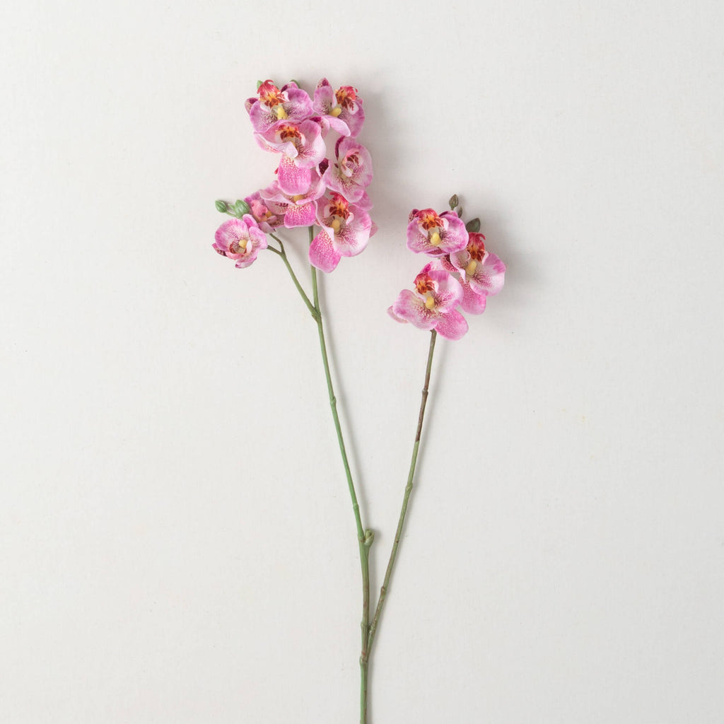 Pink Mini Phalaenopsis Spray  