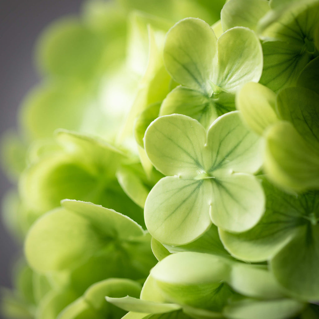 Freshcut® Vivid Green Spring H