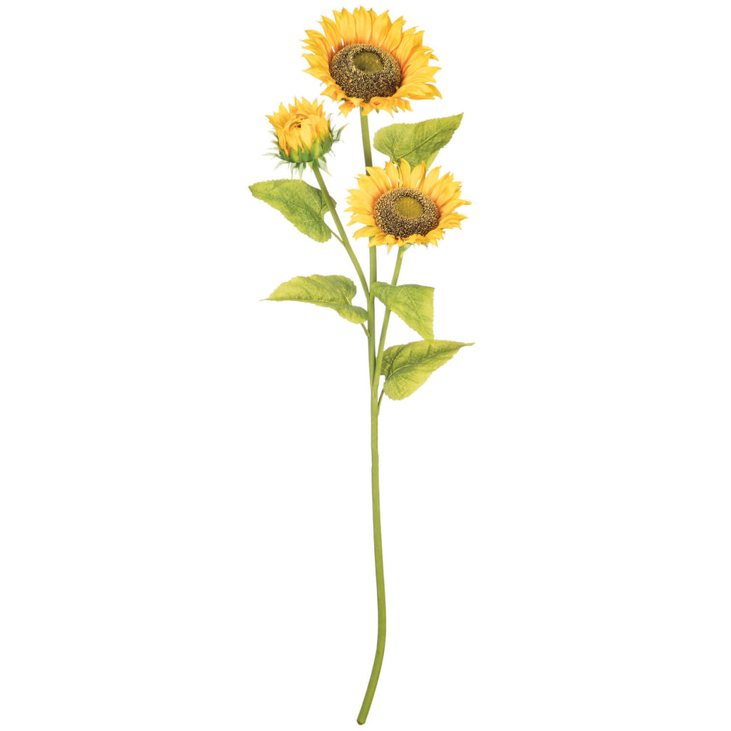 Sunflower X3 Stem             