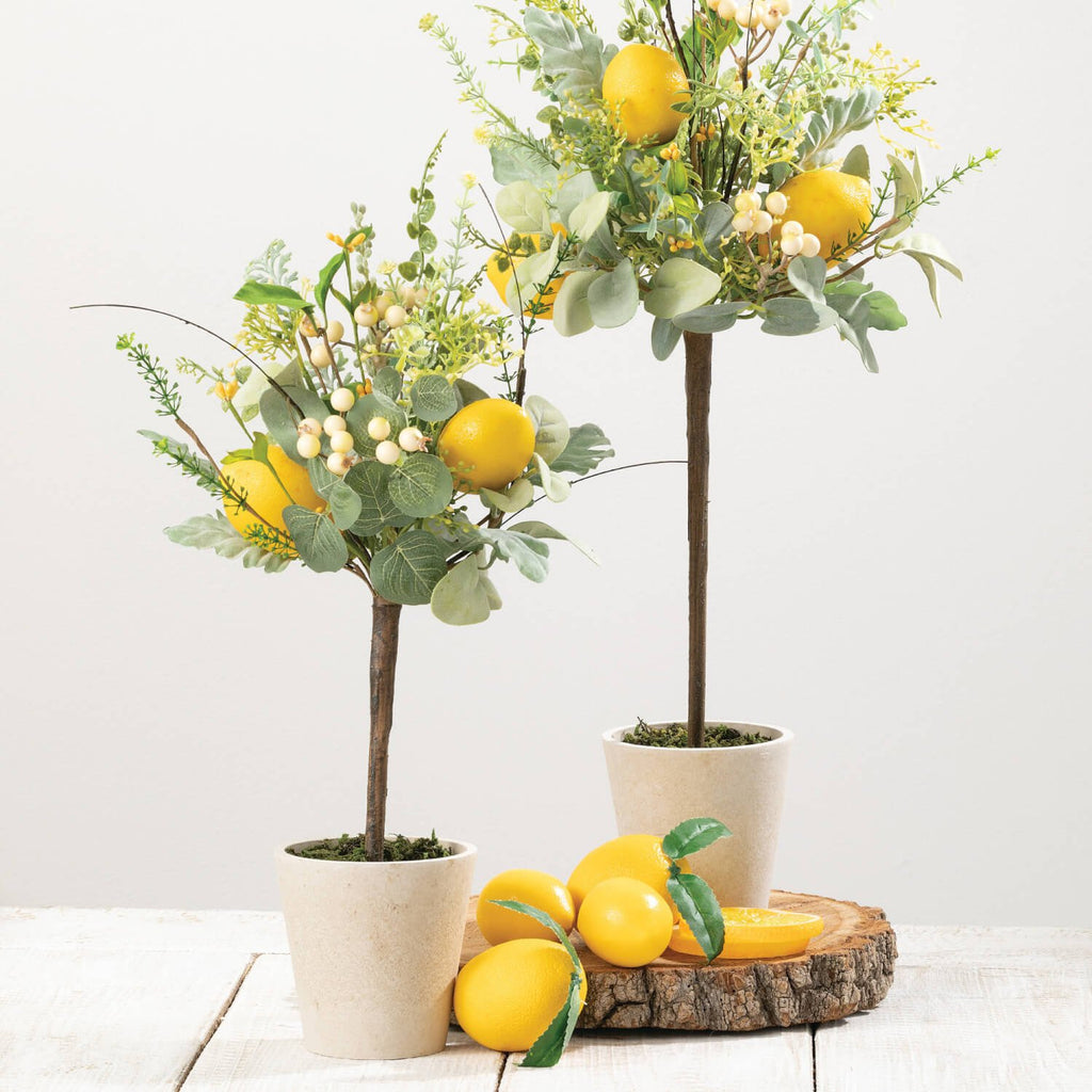 Herb Lemon Topiary Set Of 2   