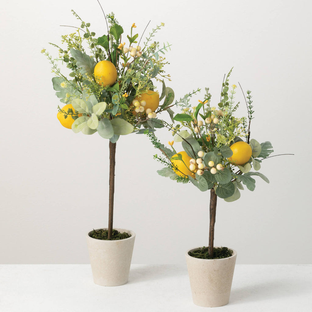 Herb Lemon Topiary Set Of 2   