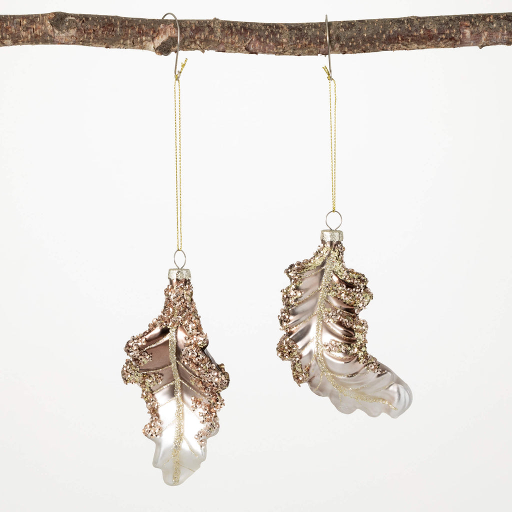 Feather Ornament Set Of 2     