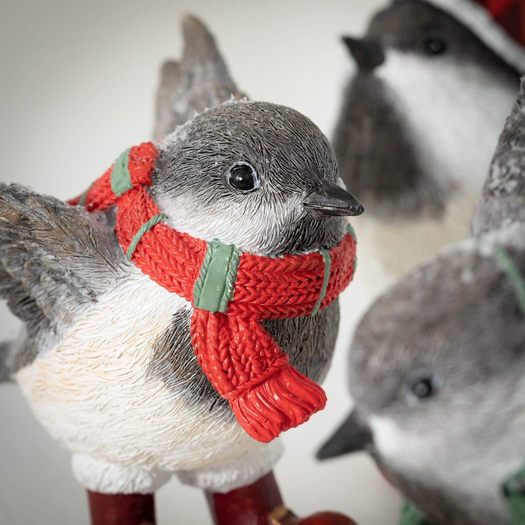 Winter Birds With Accessories 