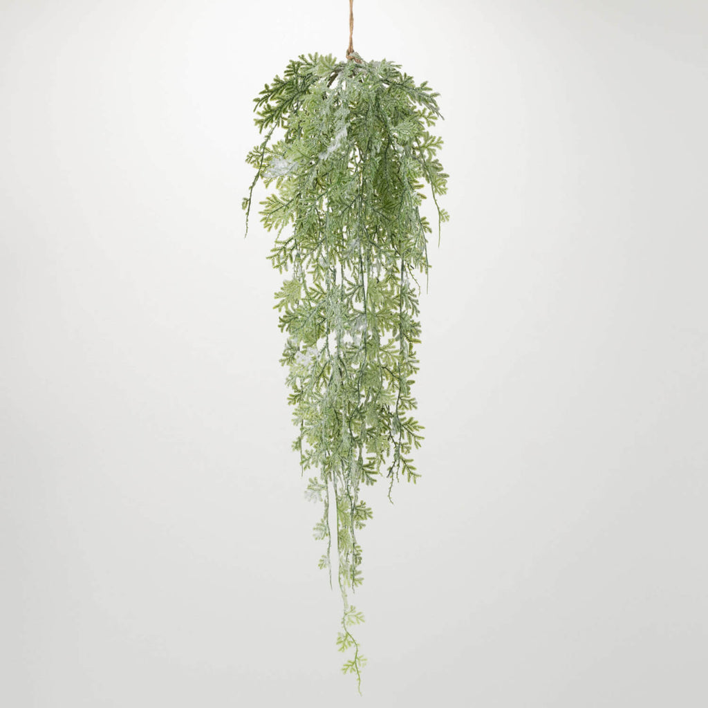 Frosted Fern Hanging Swag     