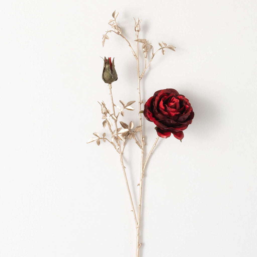 Red Rose With Gilded Stem     