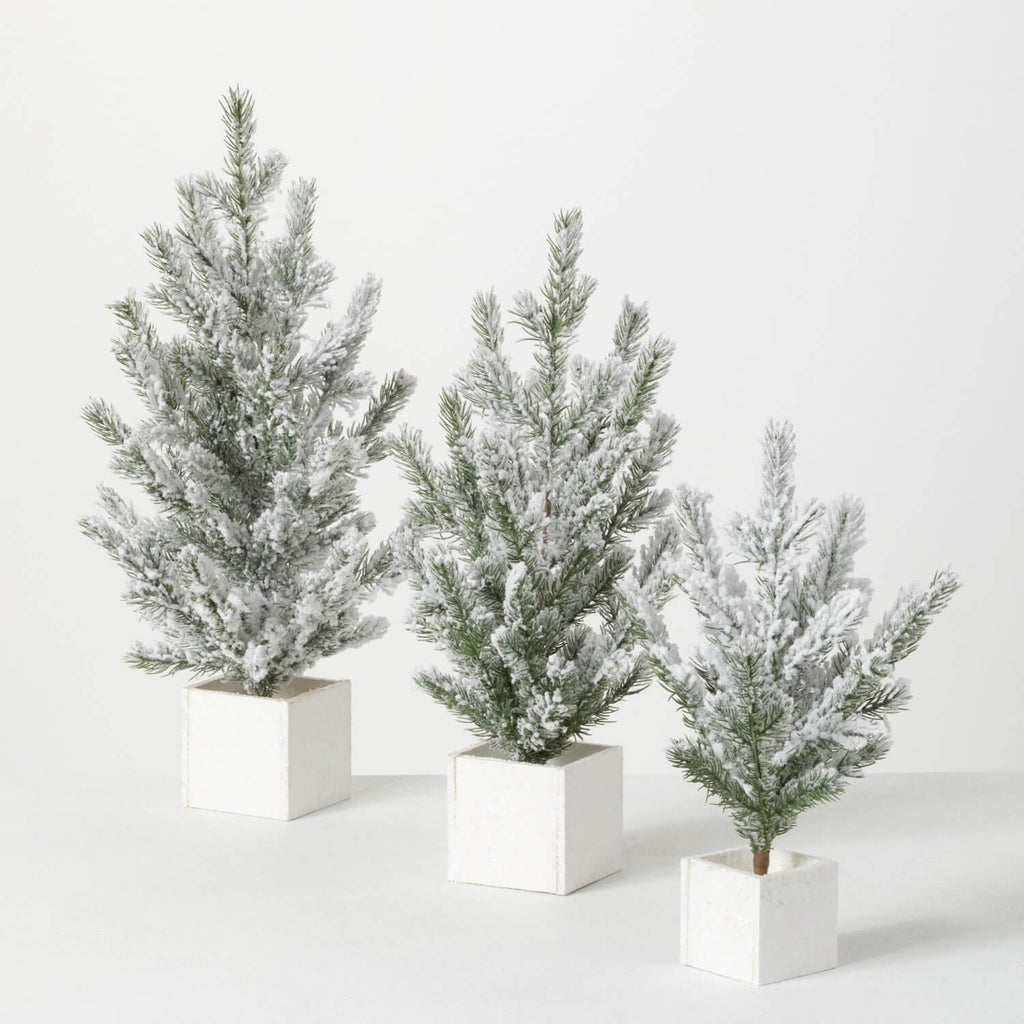 Snowy Pine Tree Set/3         
