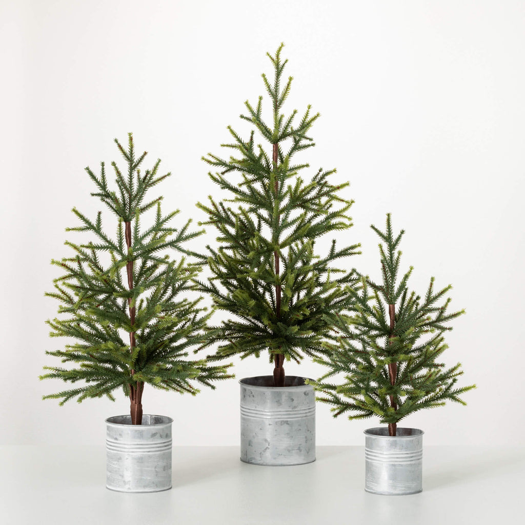 Pine Tree Set In Metal Pots   