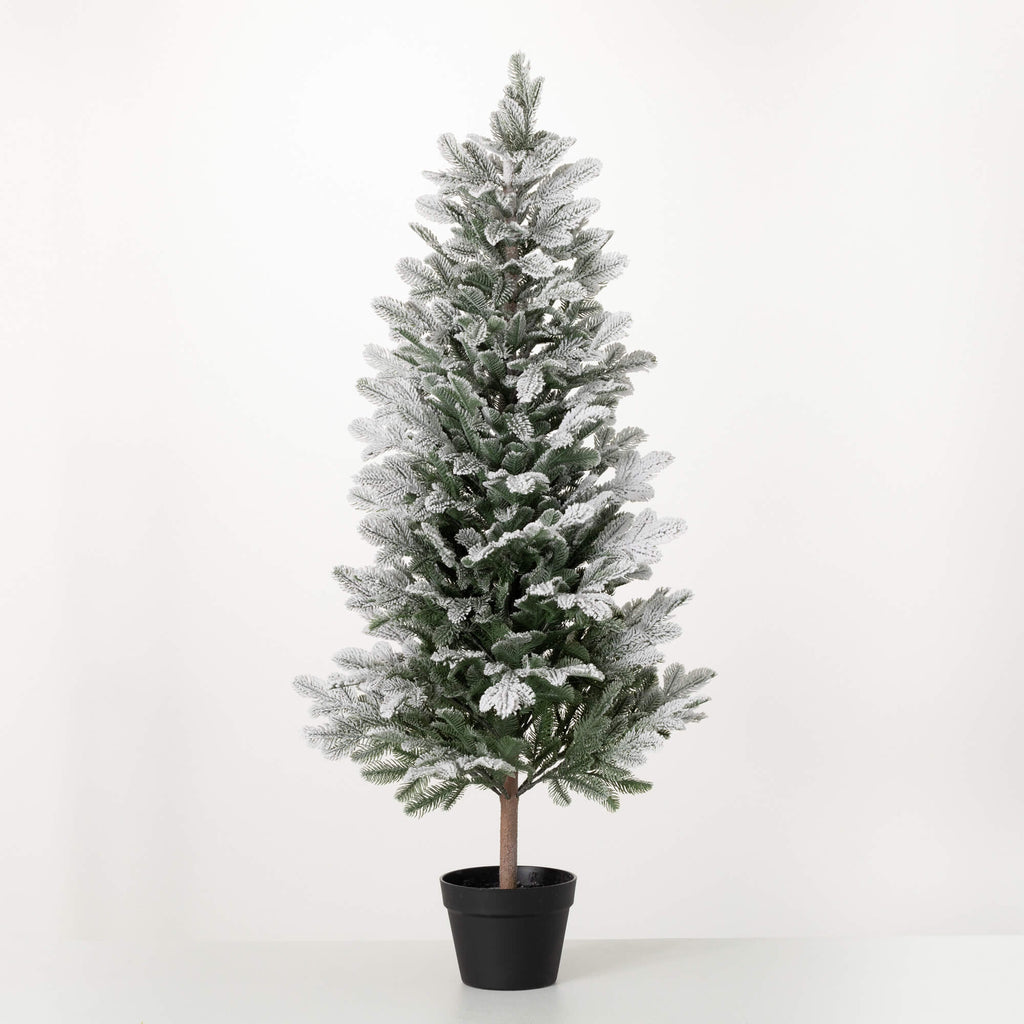 4' Potted Snowy Pine Tree     