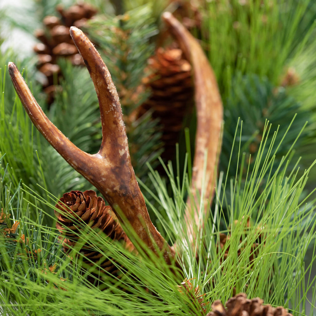 Pine Cone & Antler Wreath     
